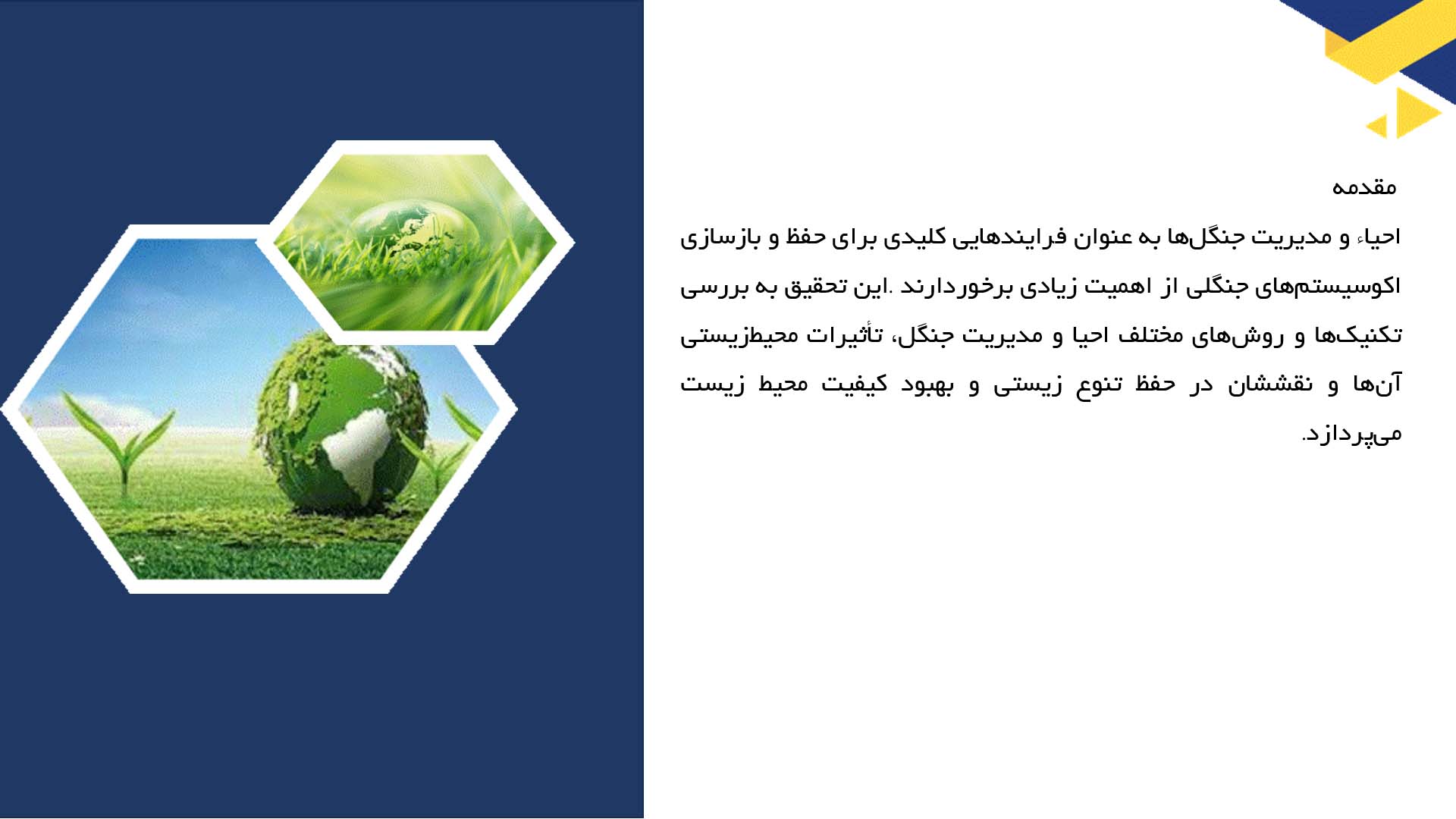 پاورپوینت در مورد تکنیک‌های احیا و مدیریت جنگل